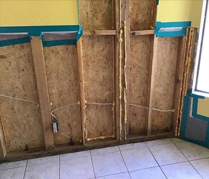 Mold Mitigation of Wall 