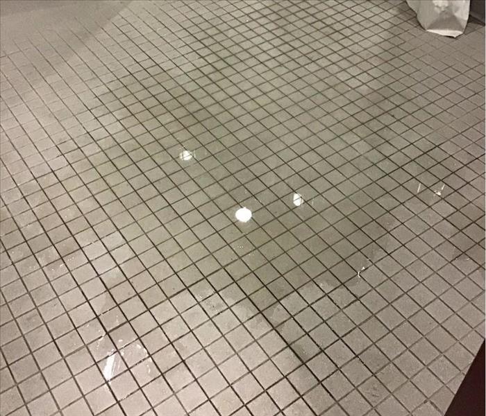 Commercial Property Sewage Leak