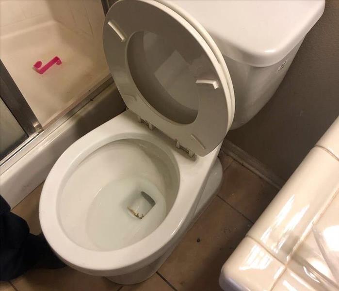 Flooded Toilet 