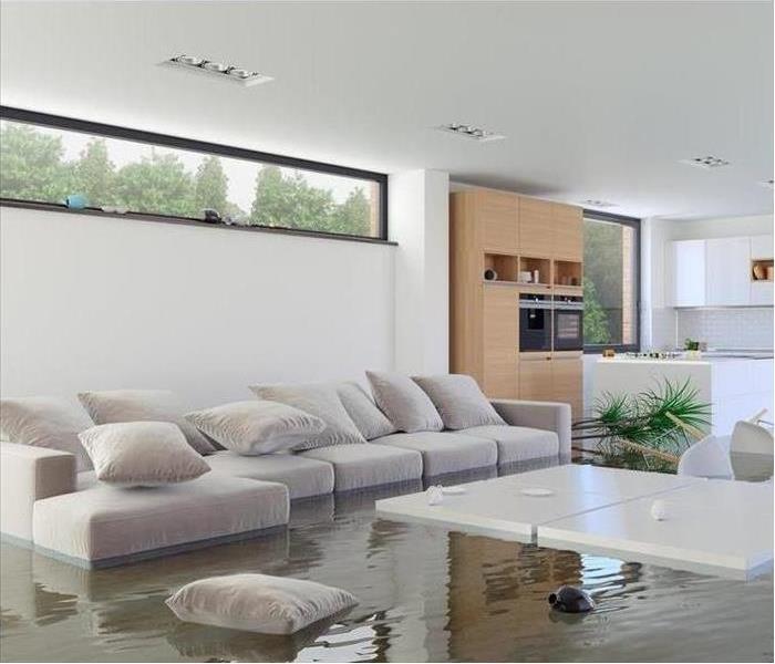 High Water in Living Area
