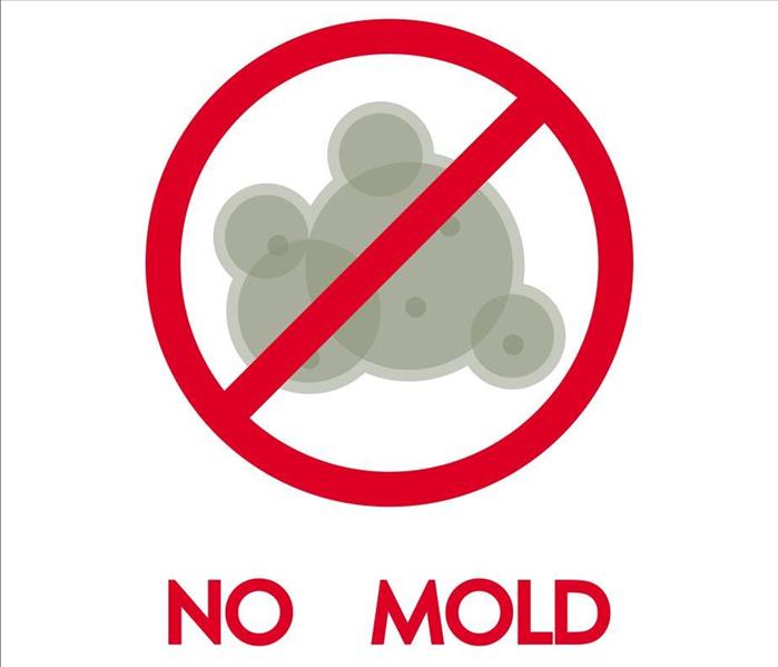 mold x'd out in red circle