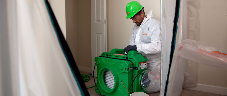 Santa Clarita, CA mold cleanup