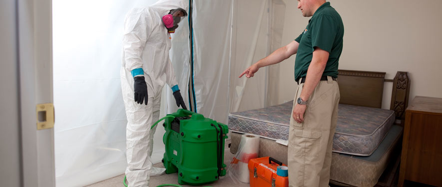 Santa Clarita, CA mold removal process