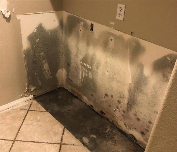 Wall in a home with mold damage showing on a wall